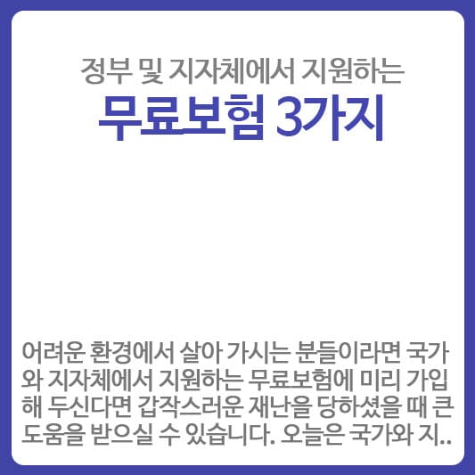 정부지원 무료보험