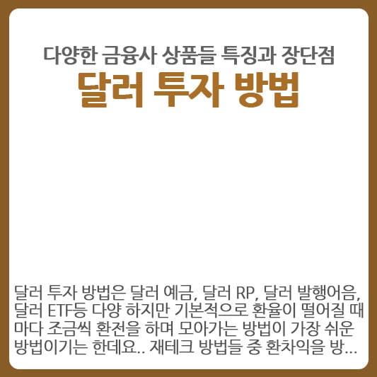 달러 투자 방법